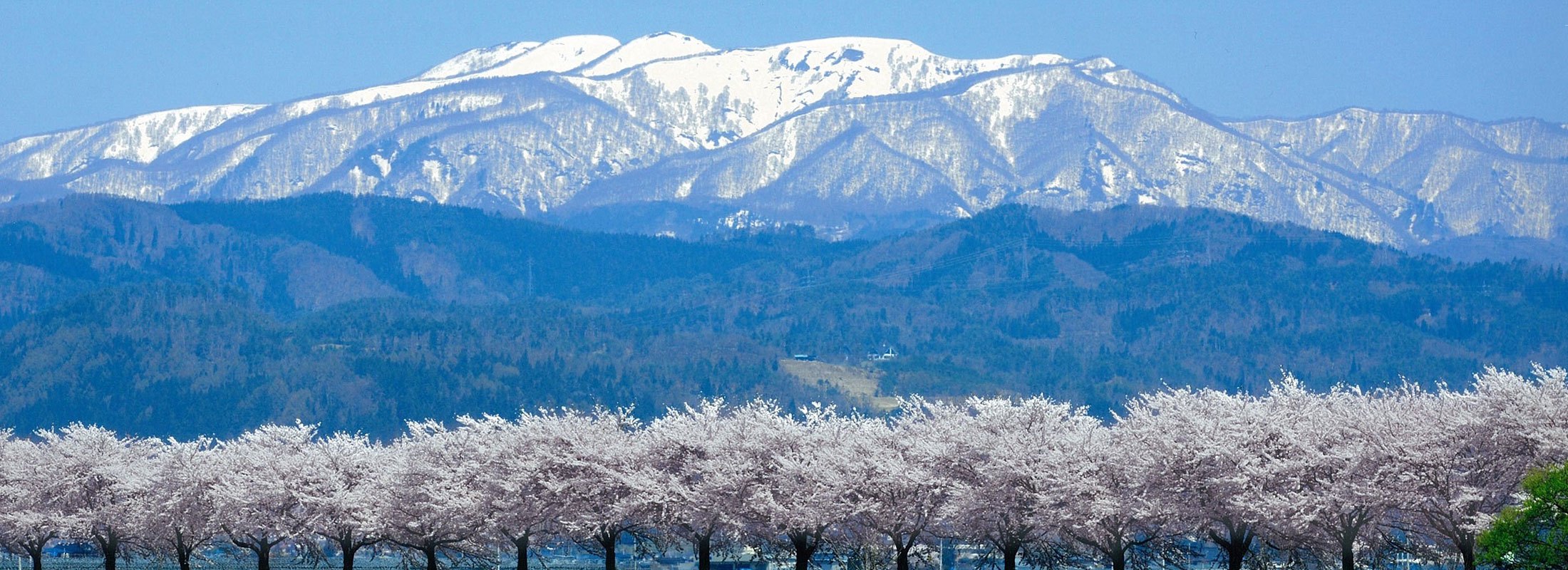 月山(がっさん)