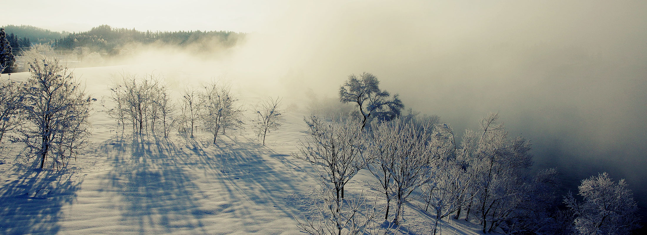 冬早朝の最上川