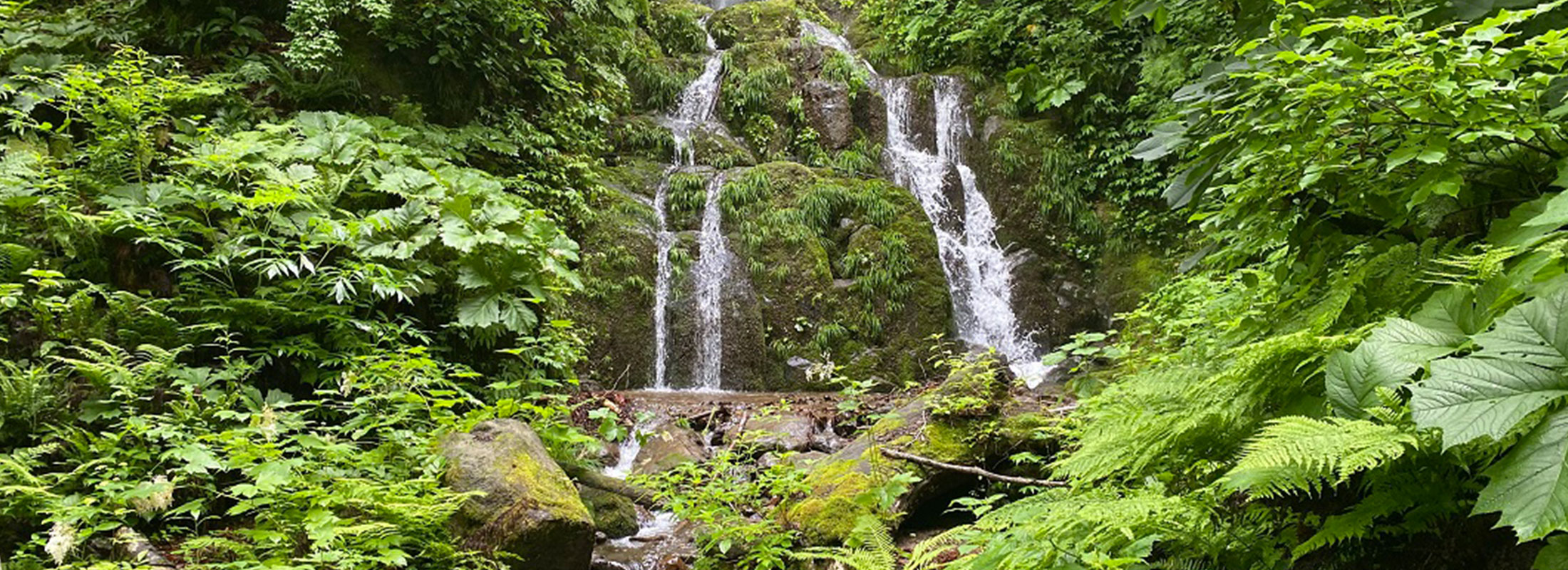 三蔵院修験の滝