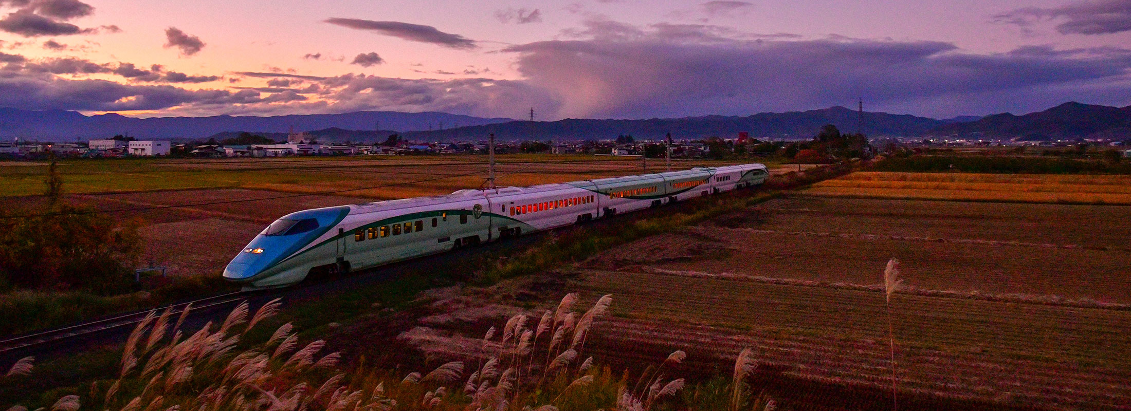 とれいゆと夕暮れ(秋)