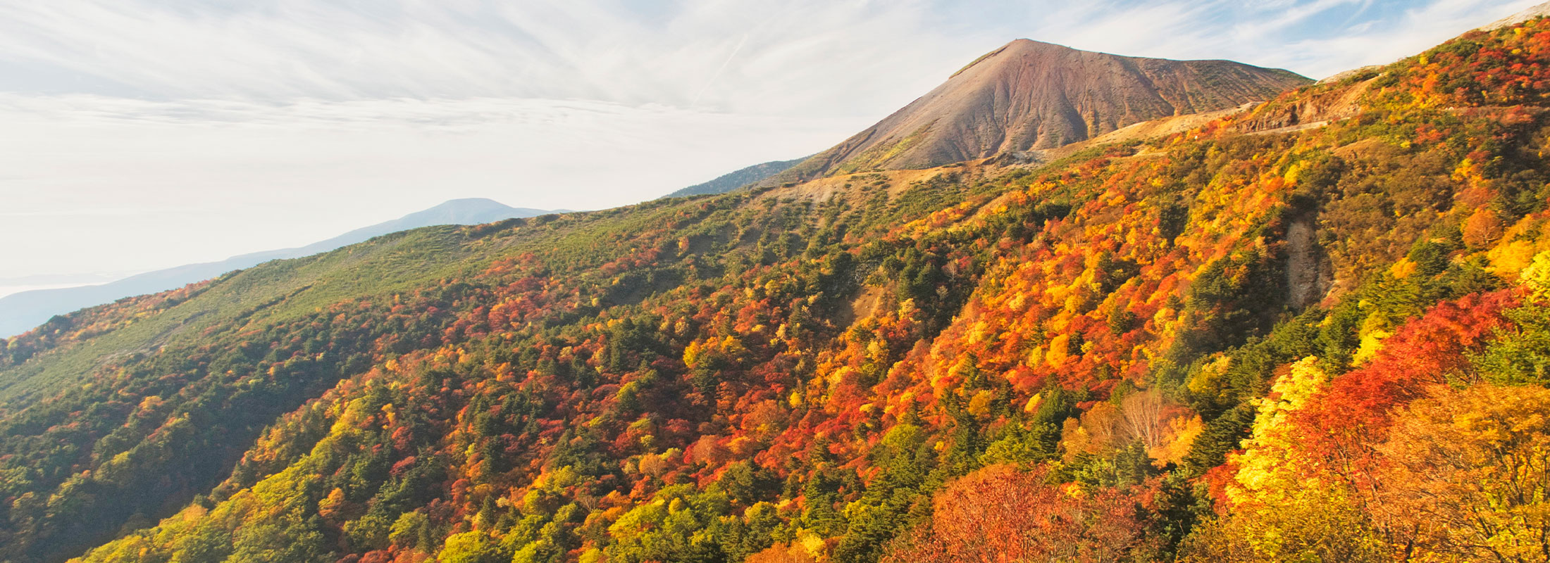 スカイライン（紅葉）