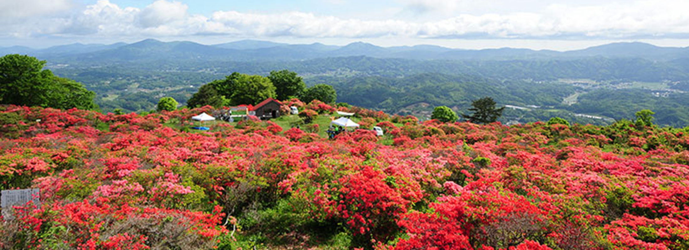 高柴山