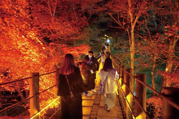 花貫渓谷紅葉まつり（11月中旬～下旬）