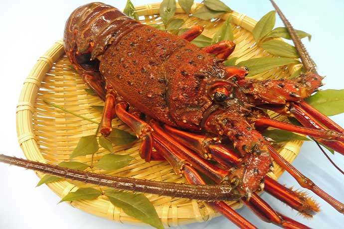 名産品（常陸乃国いせ海老）