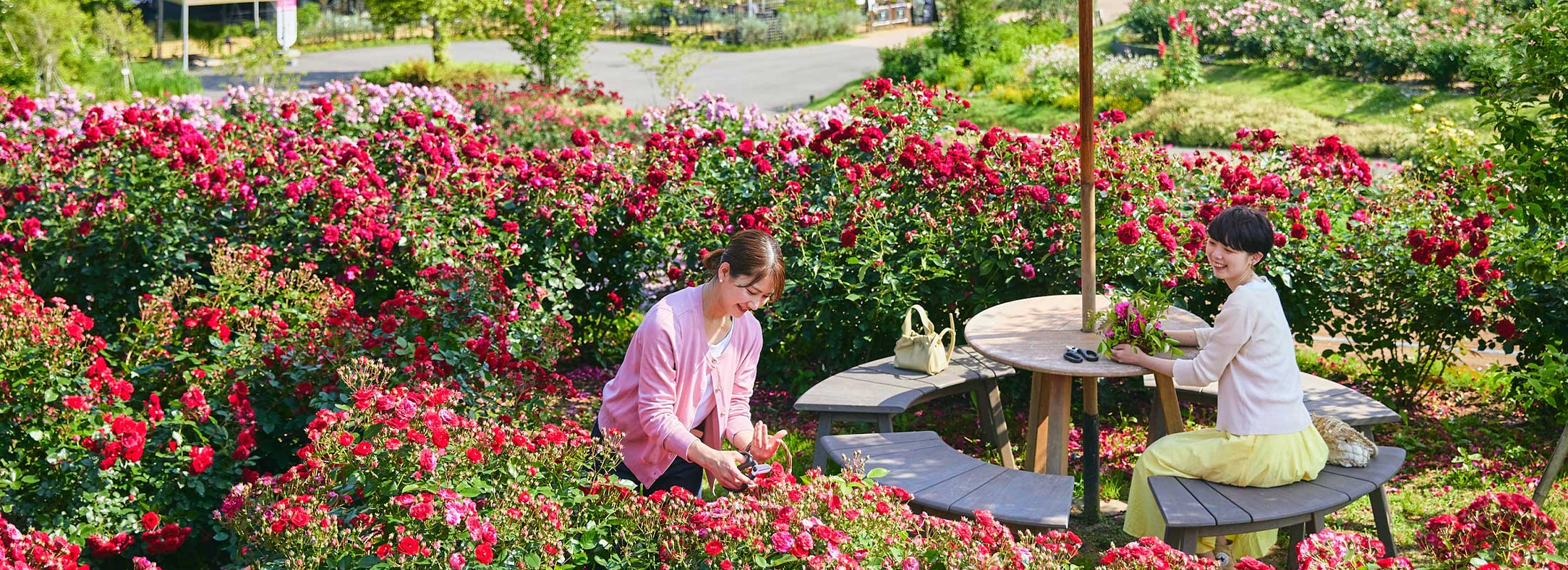 いばらきフラワーパーク