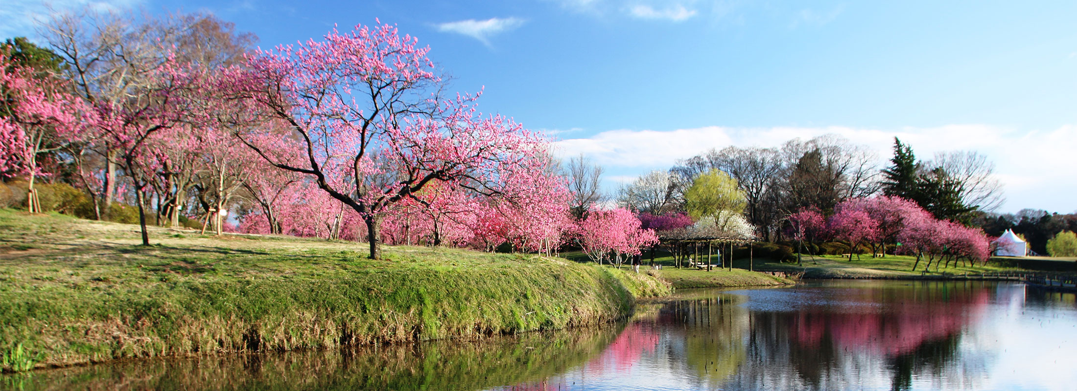 古河公方公園