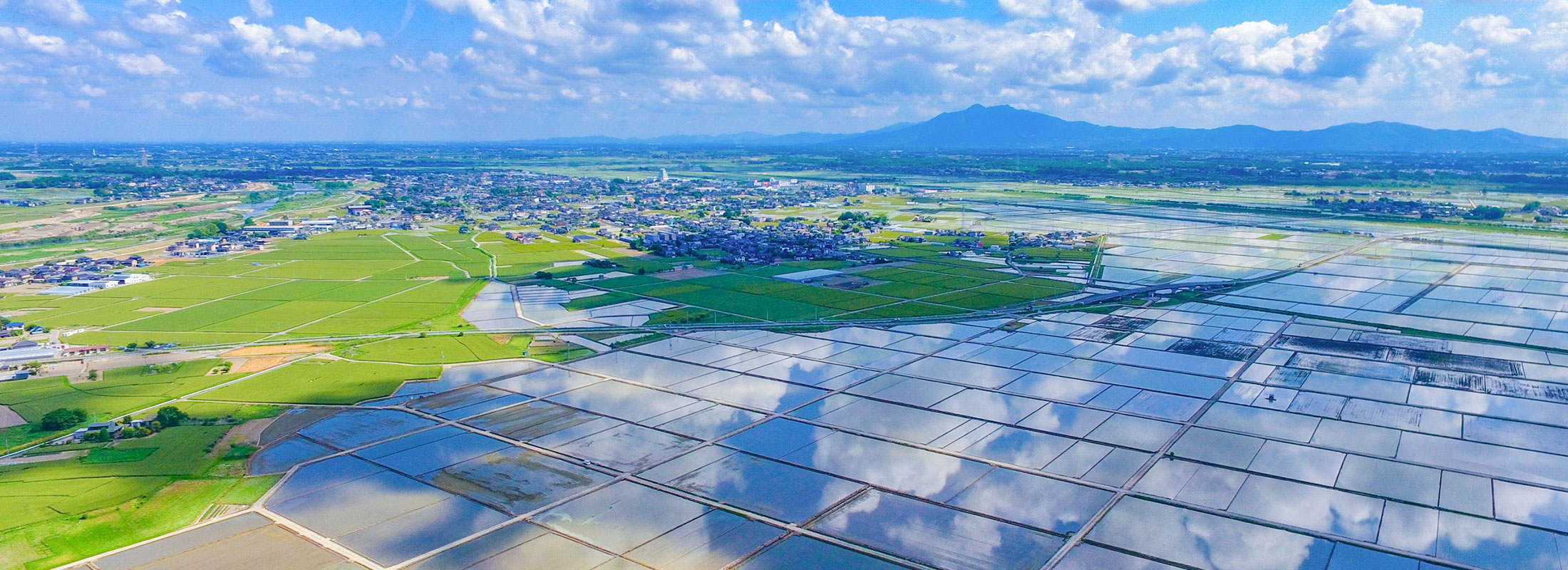 田んぼ上空