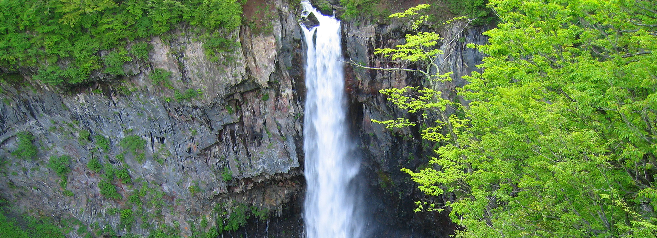 華厳の滝(新緑)