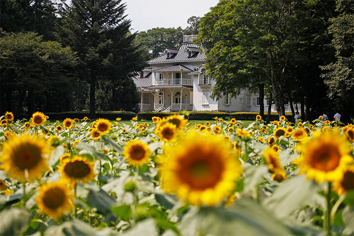 道の駅(明治の森・黒磯)・旧青木家那須別邸