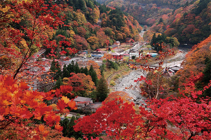 紅葉(板室温泉)