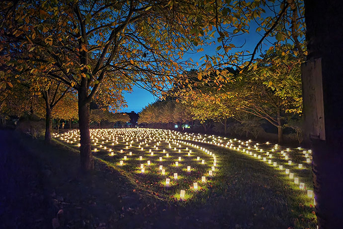夏の夜を彩るイベント「しもつけ燈桜会」