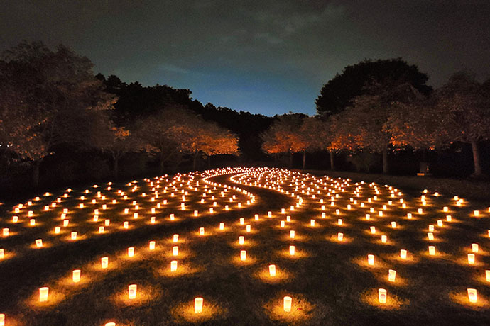 夏の夜を彩るイベント「しもつけ燈桜会」