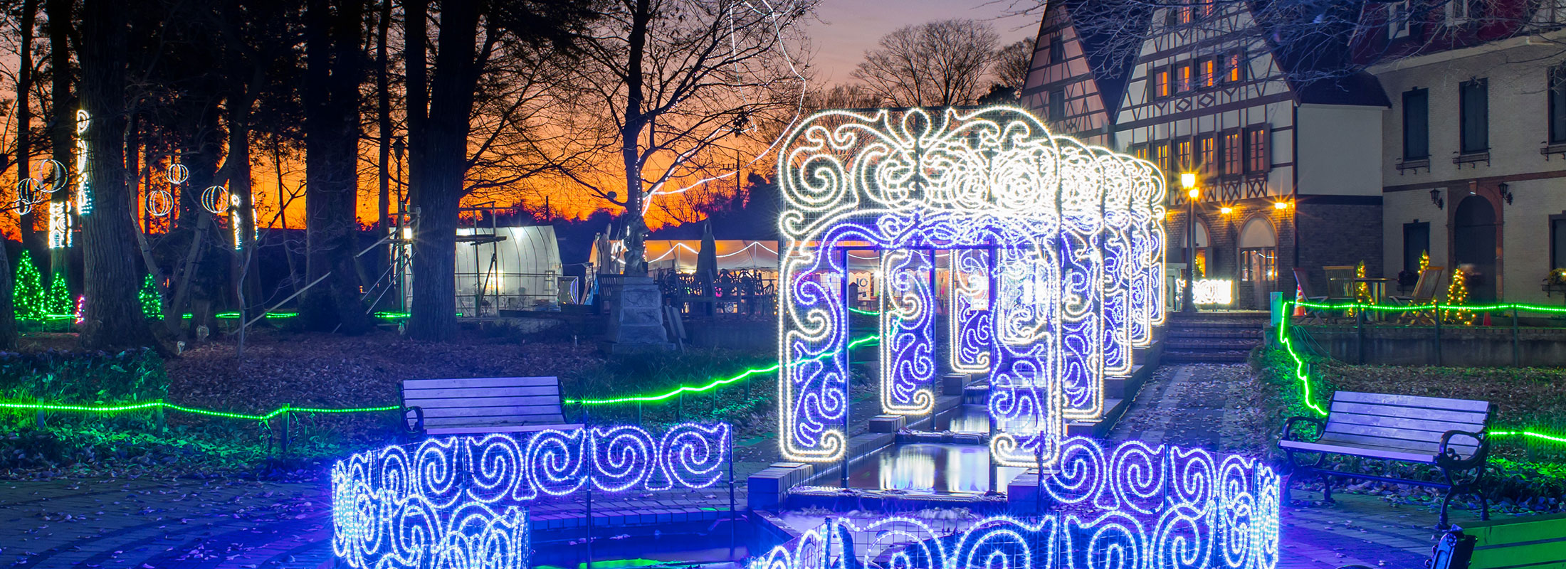 グリムの森イルミネーション