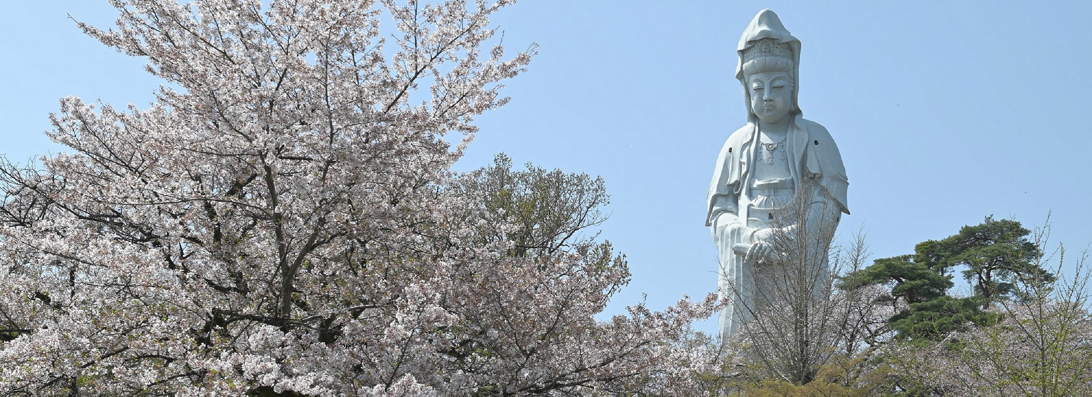 02_白衣観音像