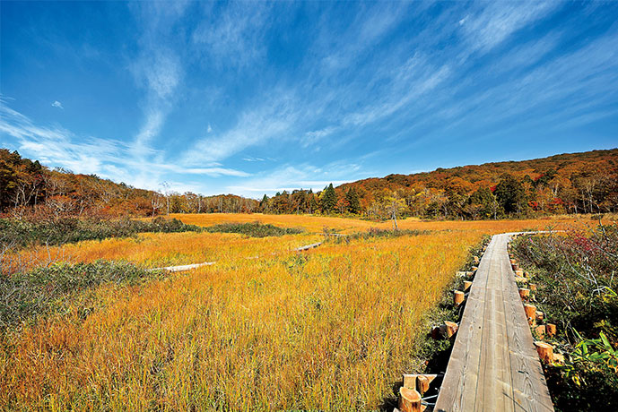 小さな尾瀬 玉原湿原