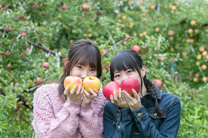 沼田生まれ 幻のりんご「ぐんま名月」