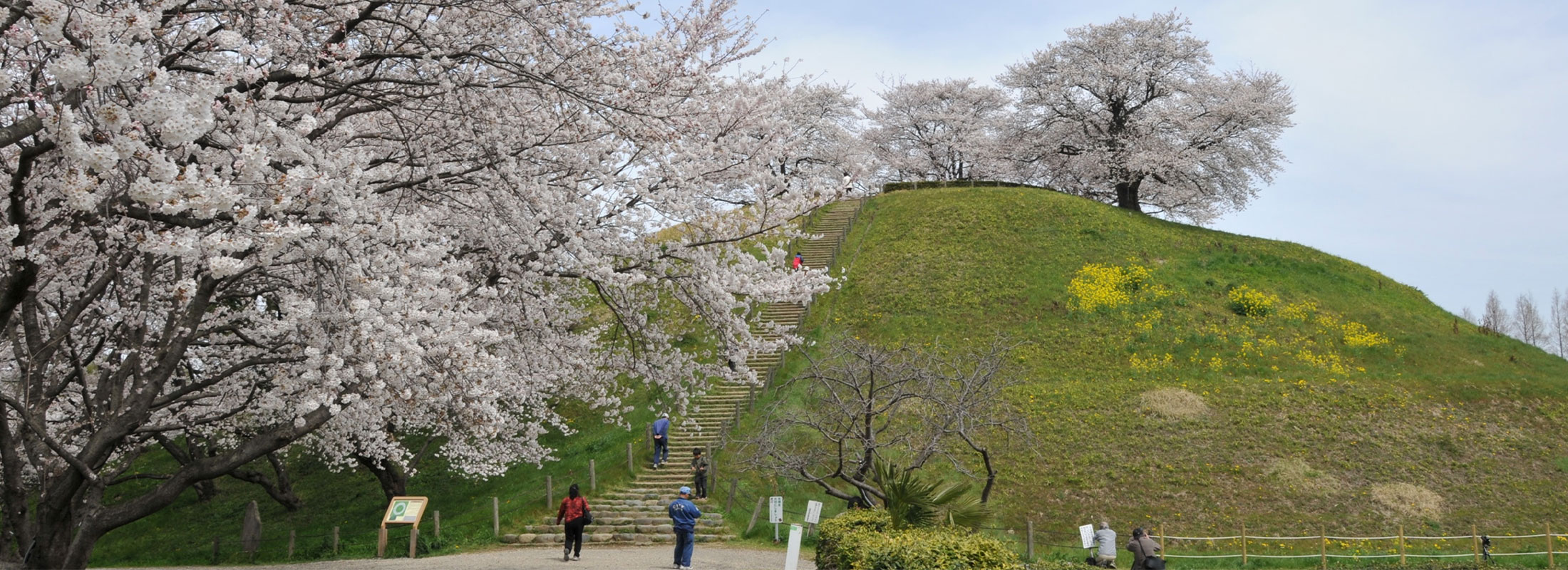 さきたま古墳公園