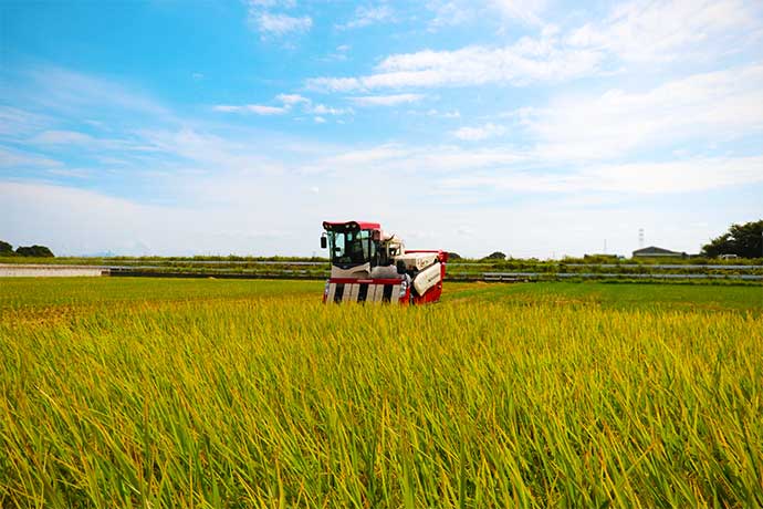 幸手を味わう　～自慢のお米～