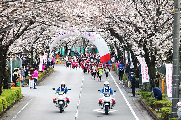 さくらマラソン