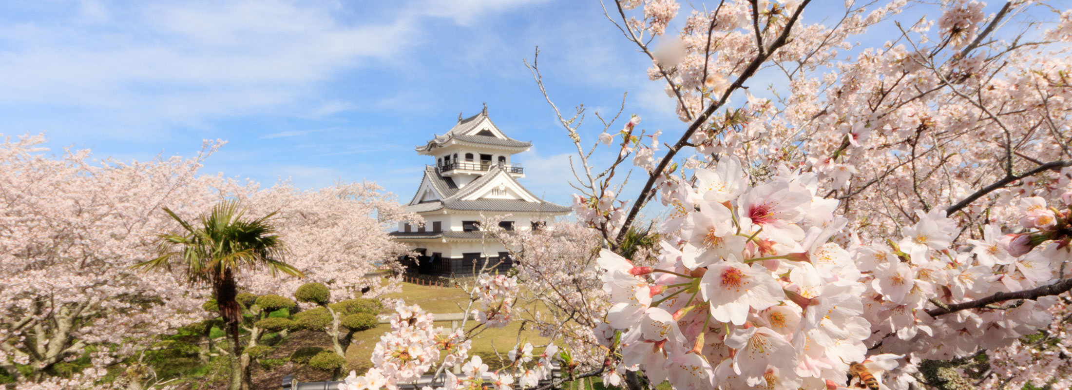 千葉県館山市_館山城