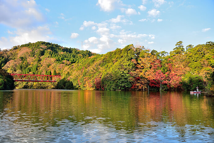 関東一遅い紅葉が見ごろの亀山湖