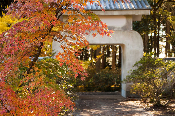 福聚寺の秋景色