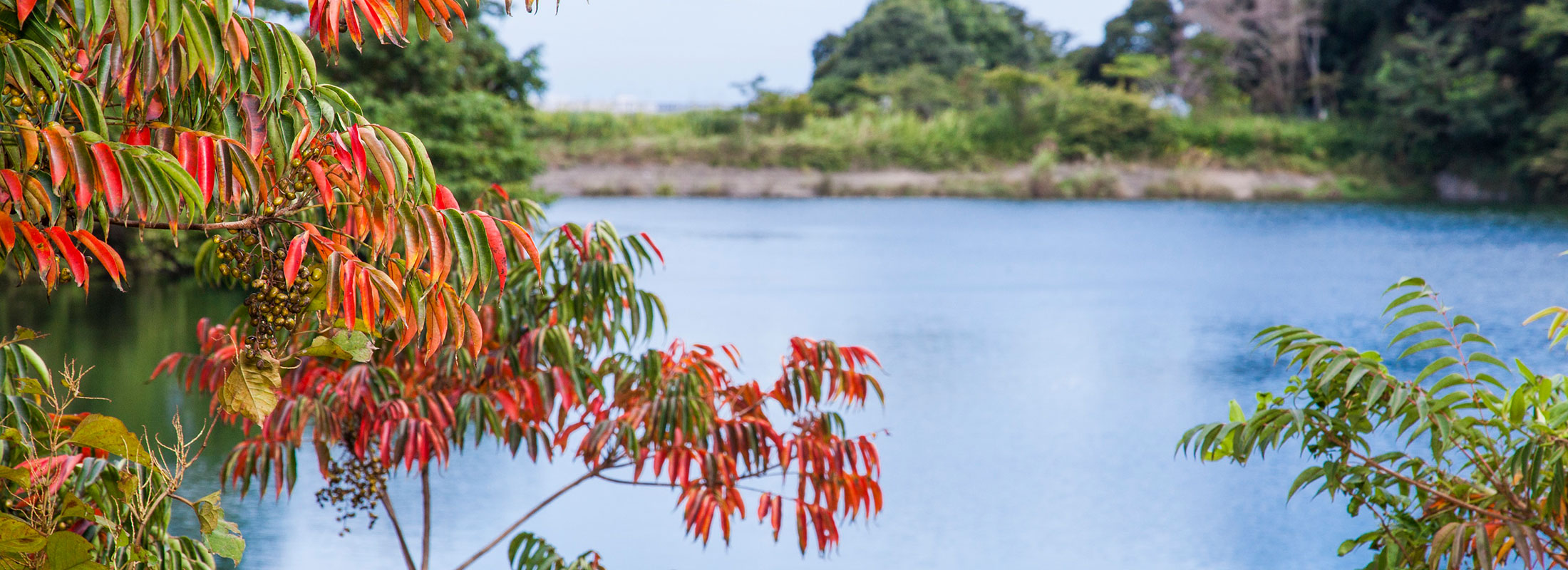 石出堰親水公園