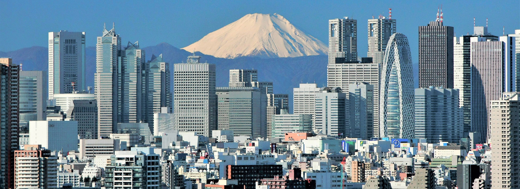 新宿駅周辺ー西新宿高層ビル群