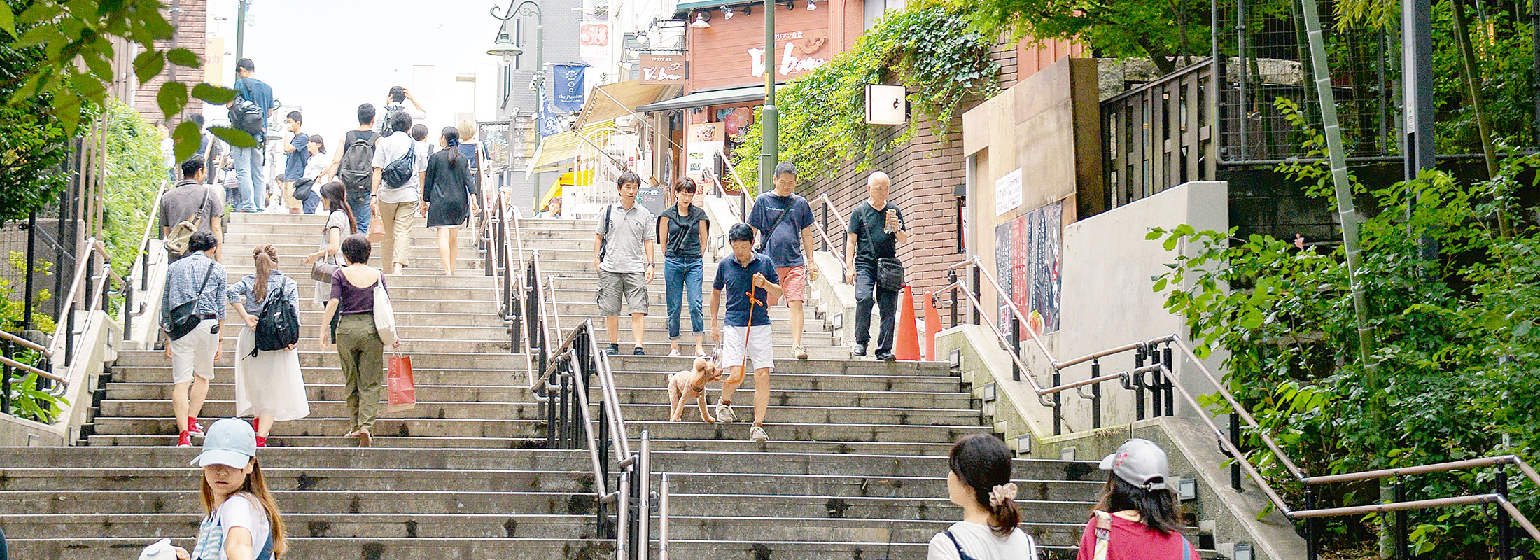 七井橋通り