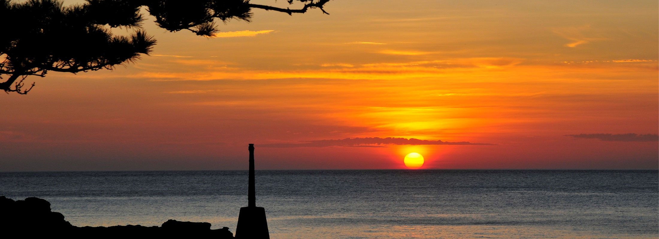 夕日
