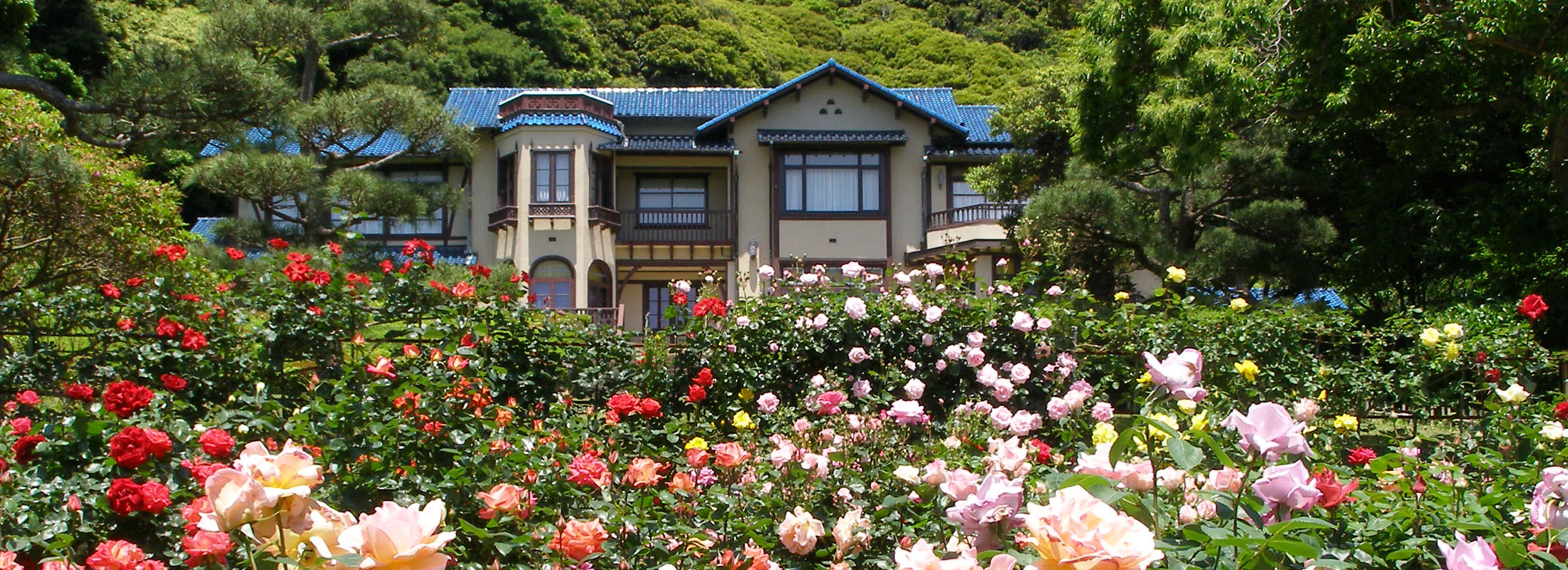 文学館とバラ