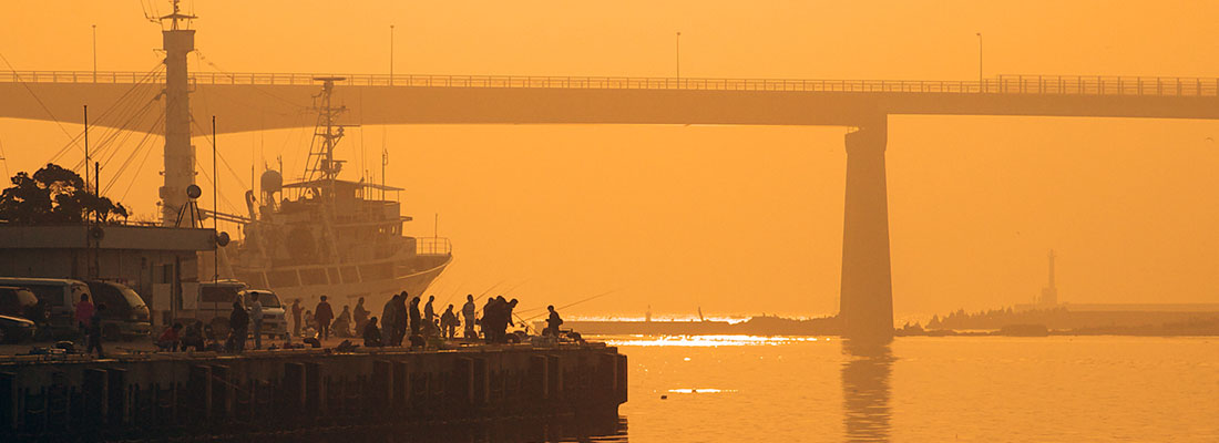朝もやの中の城ケ島大橋