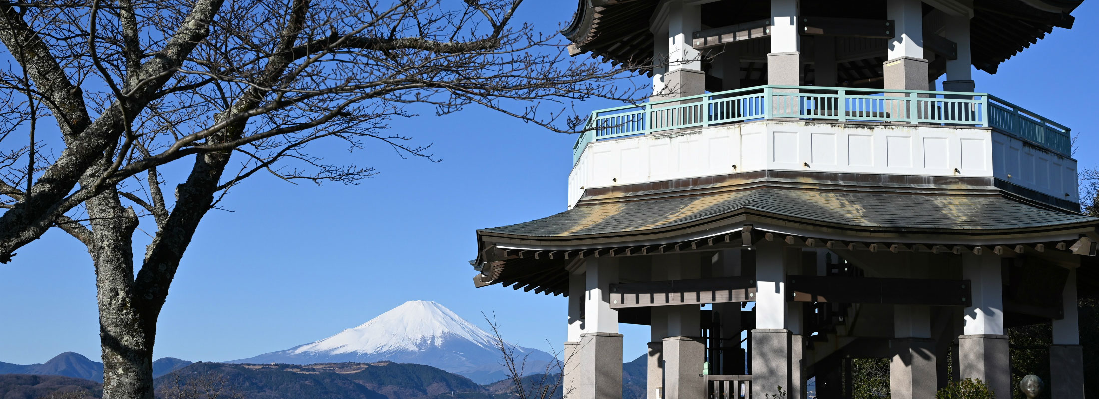 権現山