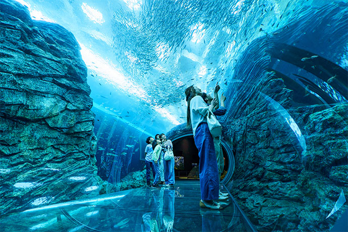 水族博物館うみがたり