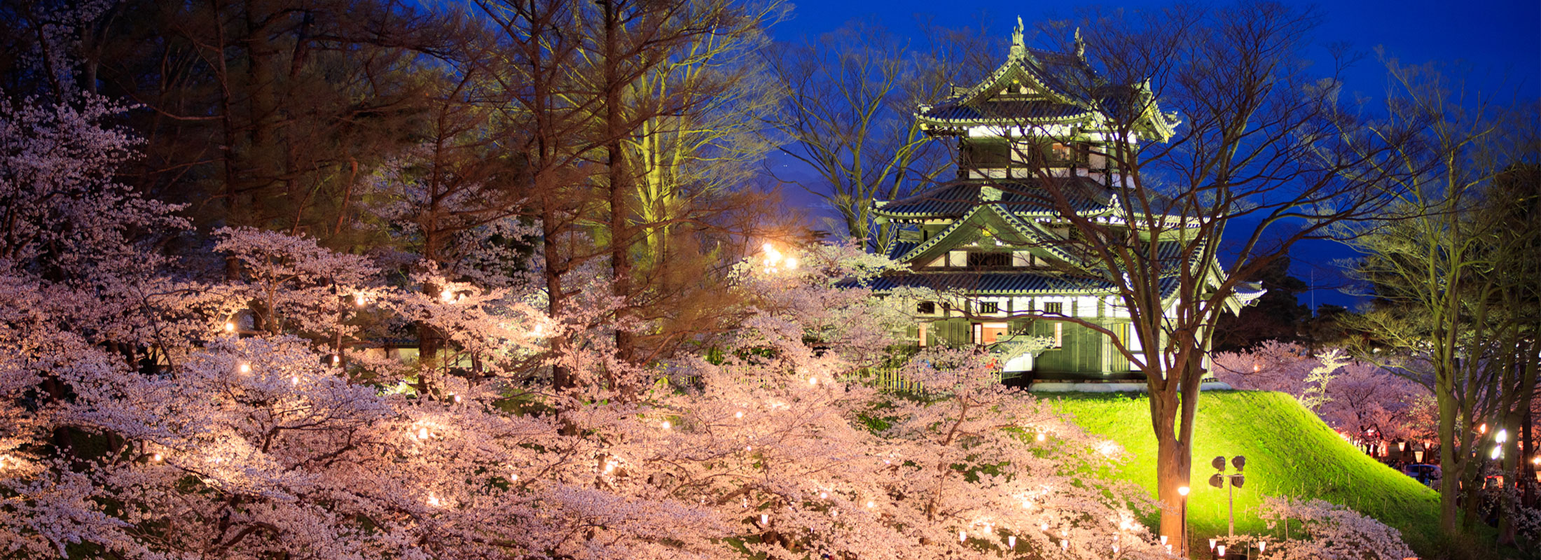 観桜会