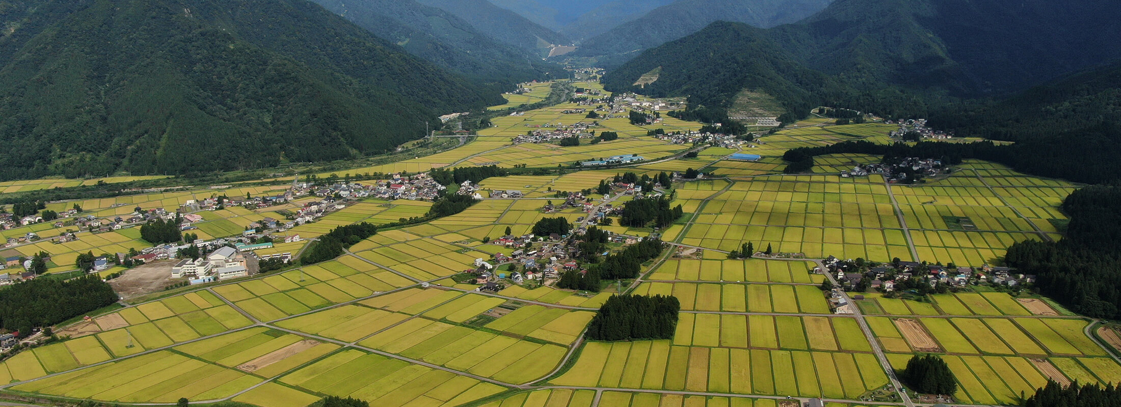 田園風景(秋)