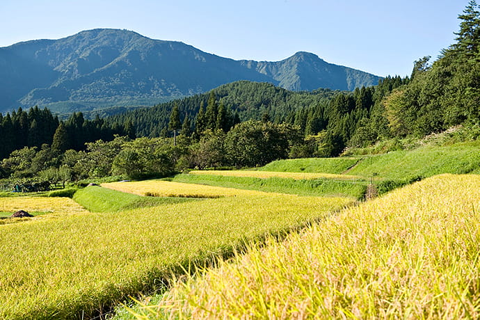 新潟県阿賀町 | 自治体詳細 | 三越伊勢丹ふるさと納税