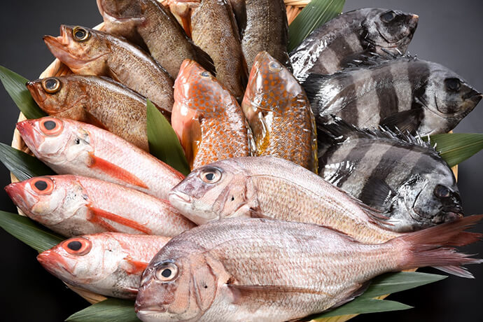 海の幸　脂がのり身の締まった日本海の魚たち