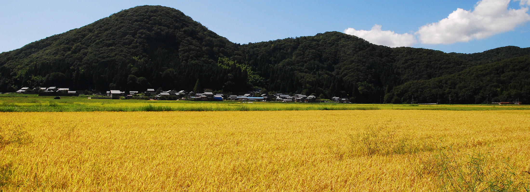 田園風景