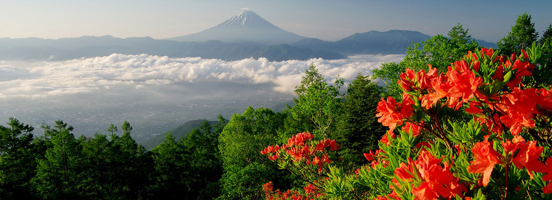 甘利山と富士山