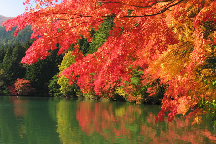紅葉の伊奈ヶ湖