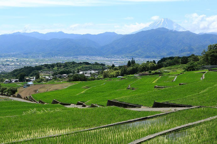 山梨県南アルプス市 | 自治体詳細 | 三越伊勢丹ふるさと納税