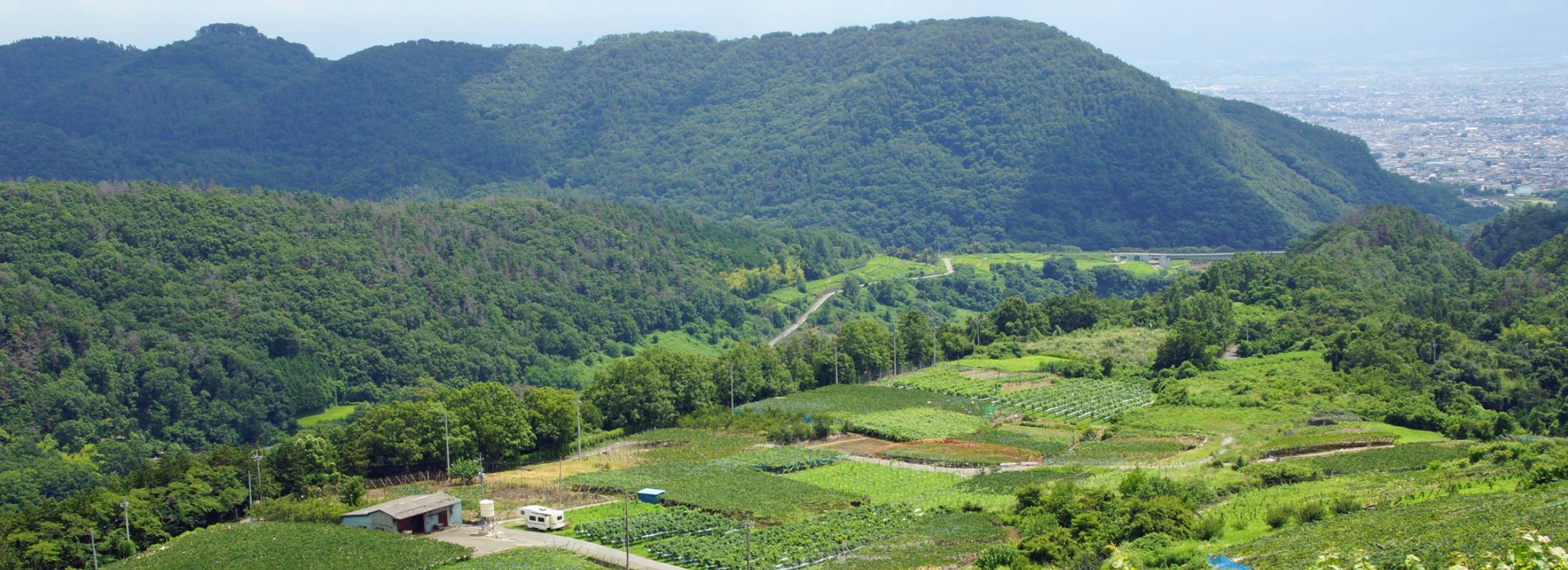 市内北西部から望む市街地
