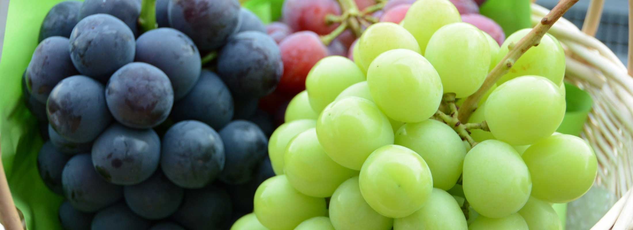 ぶどう