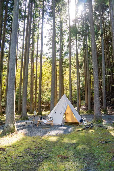 道志森のコテージ