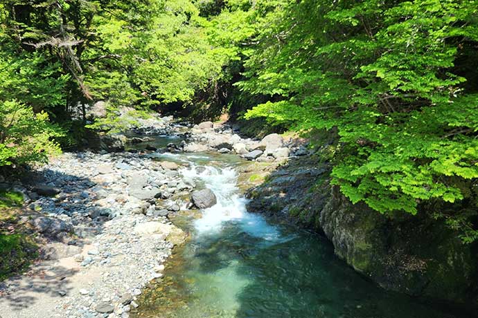 赤道を越えても腐らない水