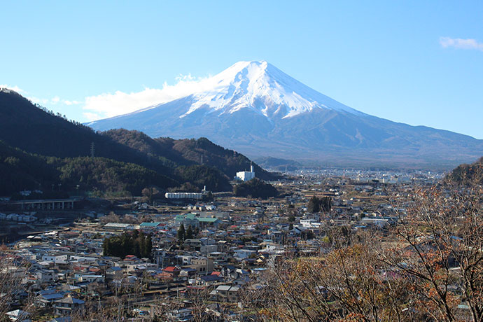 競馬山から見た町並みと富士