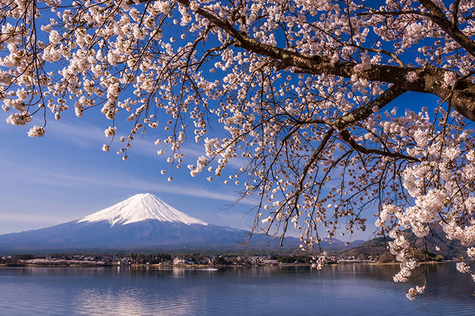 富士山と河口湖と桜の風景