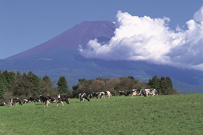 県内随一の酪農地区・富士ヶ嶺高原