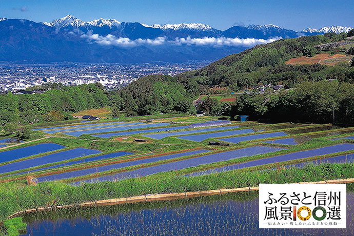 棚田